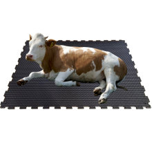 Top Sale Dairy Cow Cattle Equine Stall Equestrian Barn Horse Stable Rubber Mat Flooring